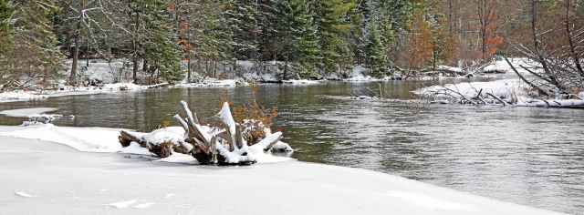 AuSable Winter Solitude