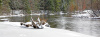 AuSable Winter Solitude